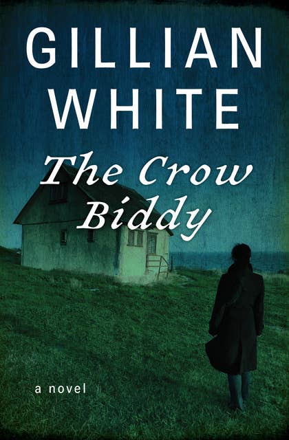 The Crow Biddy: A Novel