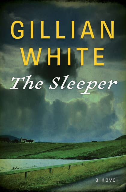 The Sleeper: A Novel