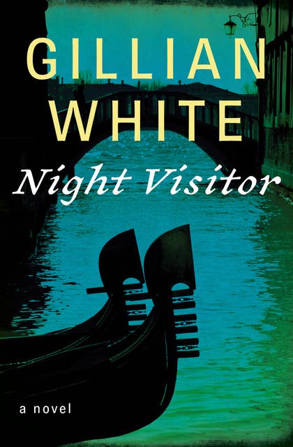 Night Visitor: A Novel
