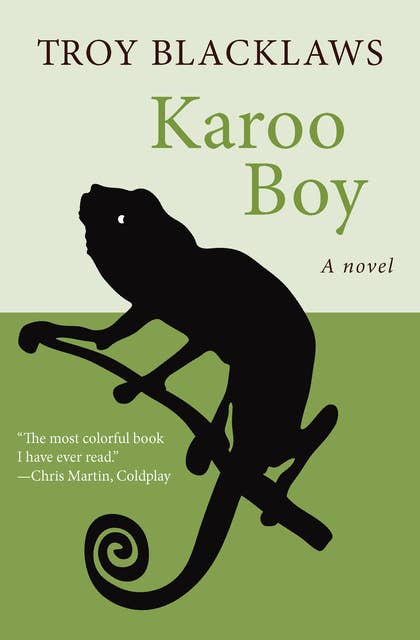 Karoo Boy: A Novel