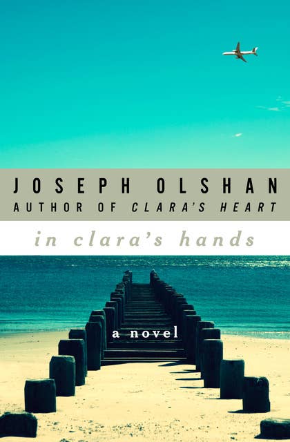 In Clara's Hands: A Novel