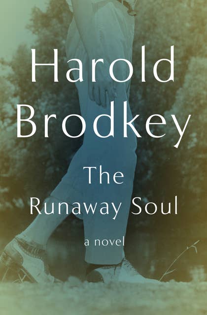 The Runaway Soul: A Novel