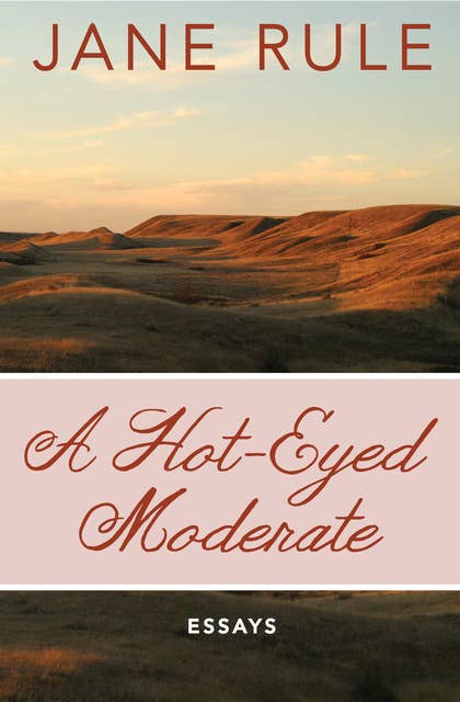 A Hot-Eyed Moderate: Essays