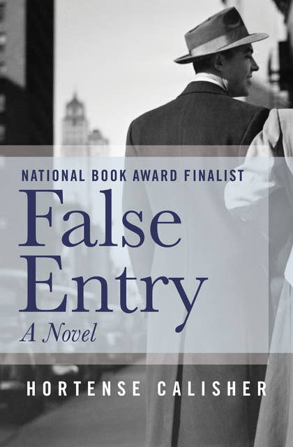 False Entry: A Novel