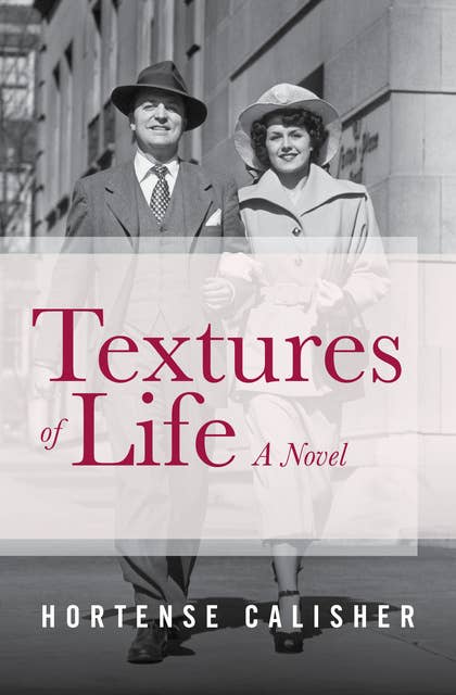 Textures of Life: A Novel