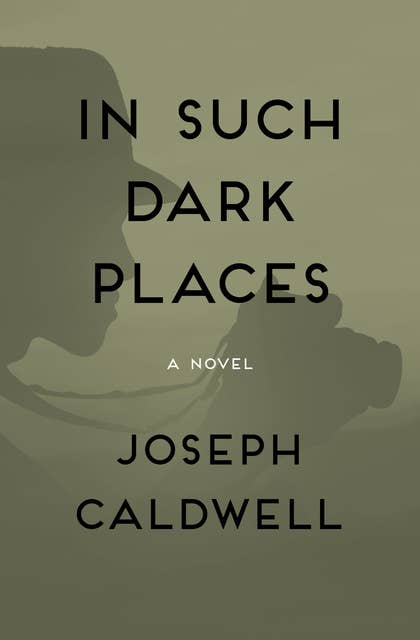 In Such Dark Places: A Novel