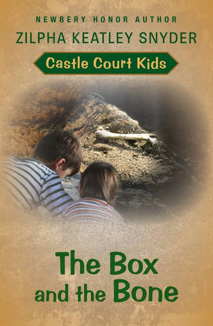 The Box and the Bone