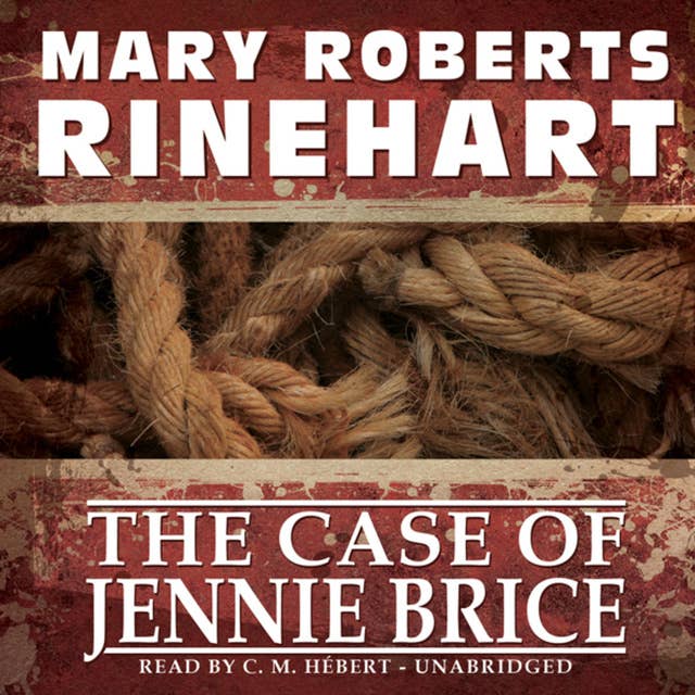 The Case of Jennie Brice: Unraveling the Enigma of a Disappearing Act