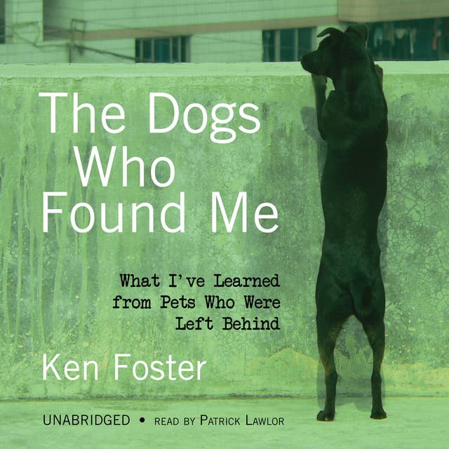 Cover for The Dogs Who Found Me: What I’ve Learned from Pets Who Were Left Behind