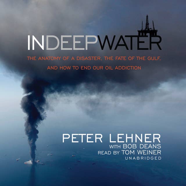 In Deep Water: The Anatomy of a Disaster, the Fate of the Gulf, and How to End Our Oil Addiction