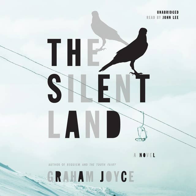 The Silent Land: A Novel