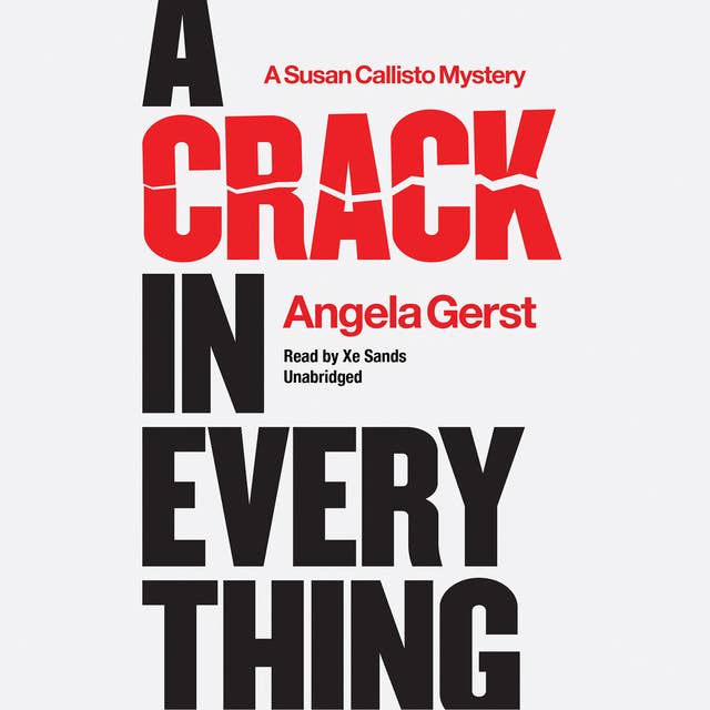 A Crack in Everything: A Susan Callisto Mystery