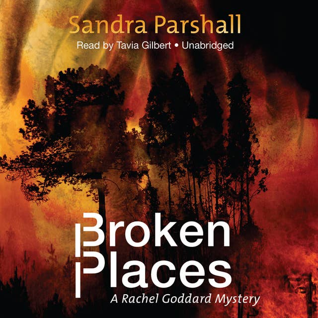 Broken Places: A Rachel Goddard Mystery
