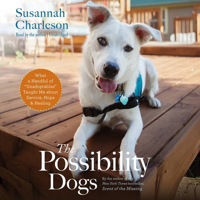 The Possibility Dogs: What a Handful of “Unadoptables” Taught Me about Service, Hope, and Healing