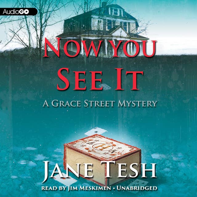 Now You See It: A Grace Street Mystery