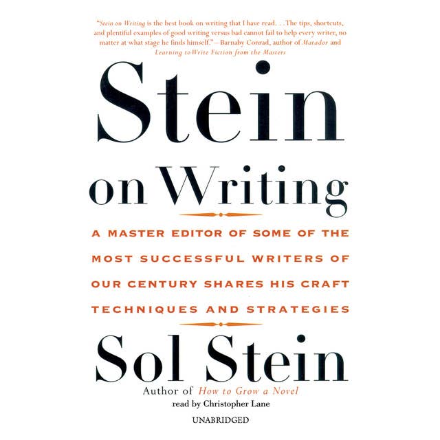 Stein on Writing