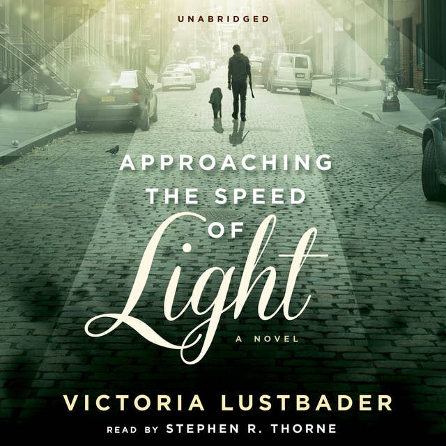 Approaching the Speed of Light: A Novel
