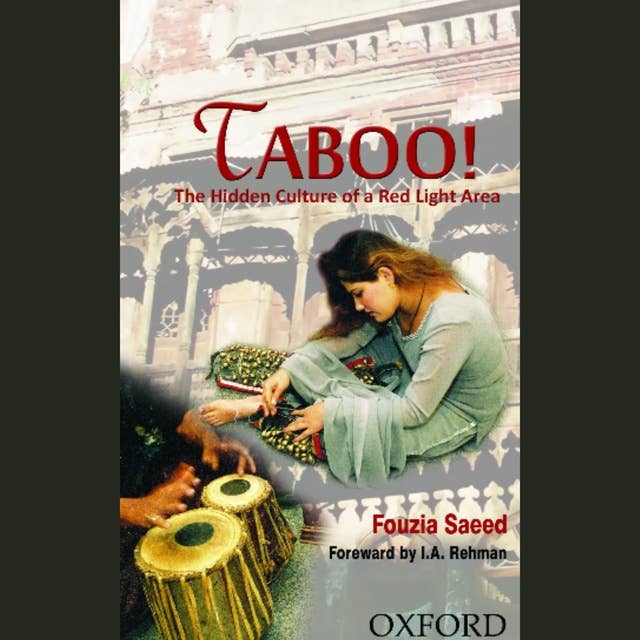 Taboo!: The Hidden Culture of a Red Light Area