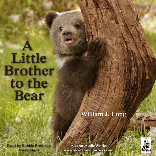 A Little Brother to the Bear, and Other Animal Stories