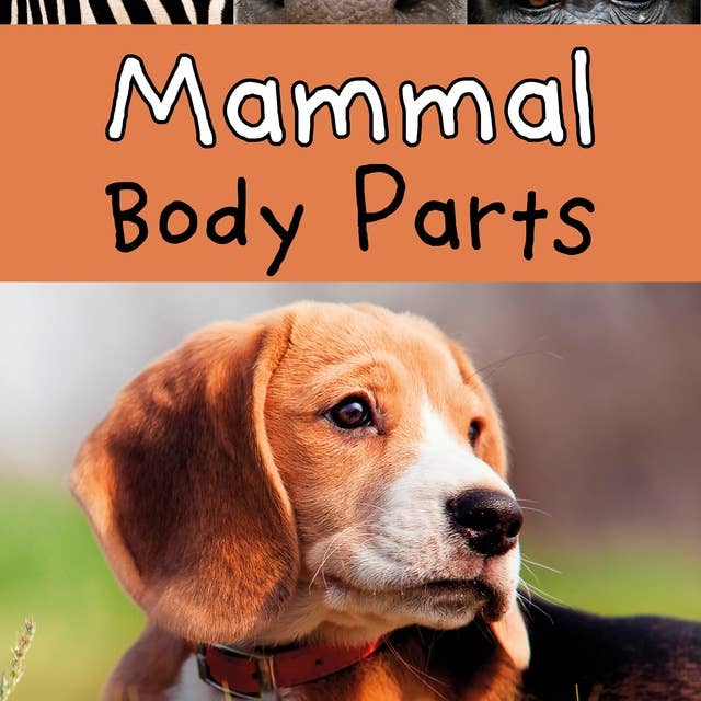 Mammal Body Parts