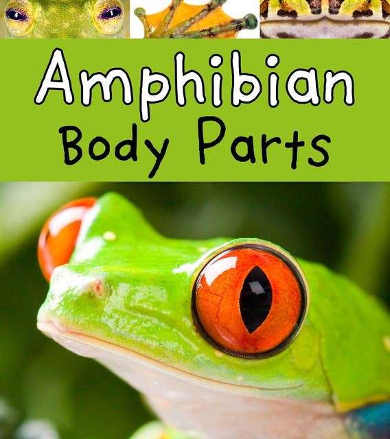 Amphibian Body Parts