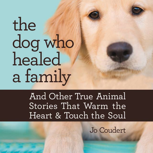 The Dog Who Healed a Family: And Other True Animal Stories That Warm the Heart and Touch the Soul