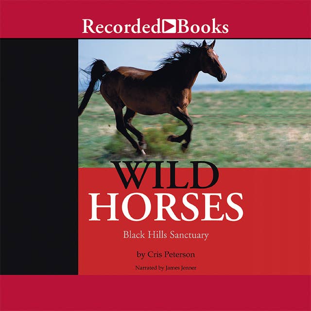 Wild Horses: Black Hills Sanctuary