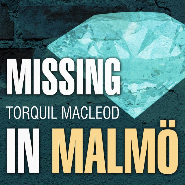 Missing in Malmö: The Third Inspector Anita Sundstrom Mystery