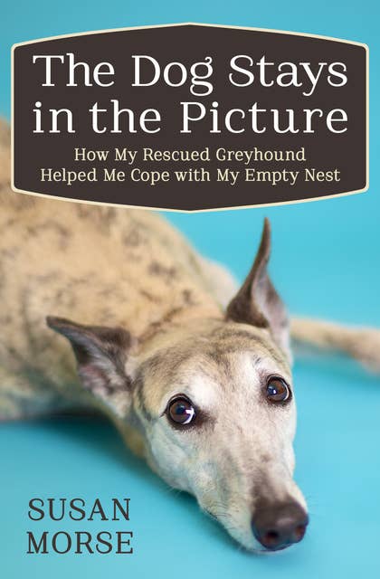 The Dog Stays in the Picture: How My Rescued Greyhound Helped Me Cope with My Empty Nest