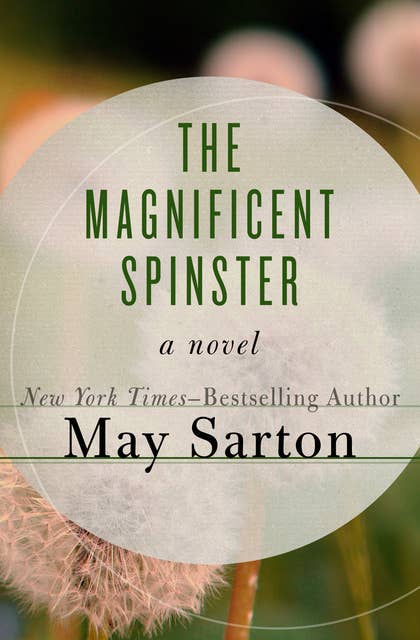 The Magnificent Spinster: A Novel