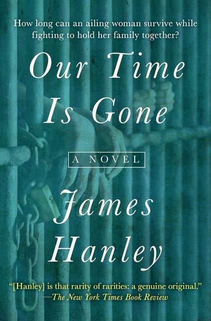 Our Time Is Gone: A Novel