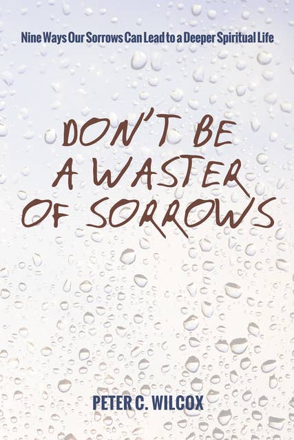 Don’t Be a Waster of Sorrows: Nine Ways Our Sorrows Can Lead to a Deeper Spiritual Life