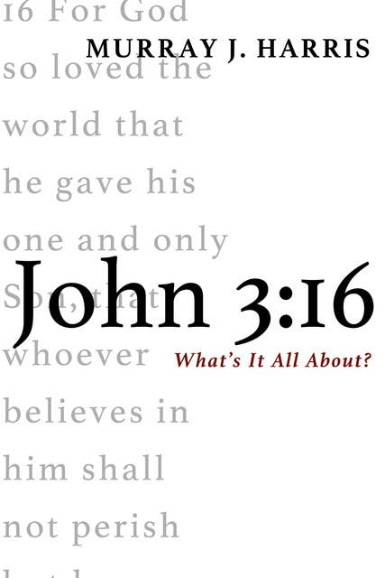 John 3:16: What’s It All About?