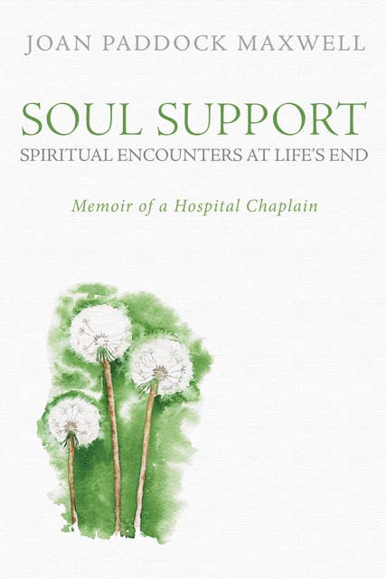 Soul Support: Spiritual Encounters at Life’s End: Memoir of a Hospital Chaplain