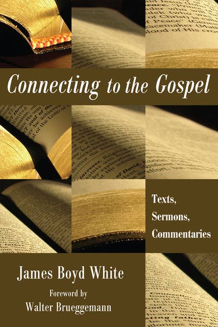 Connecting to the Gospel: Texts, Sermons, Commentaries
