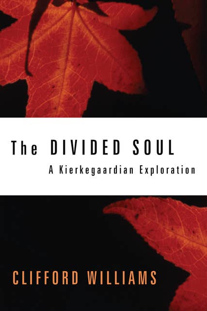 The Divided Soul: A Kierkegaardian Exploration