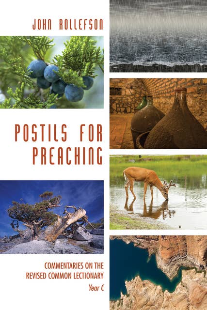 Postils for Preaching: Commentaries on the Revised Lectionary, Year C