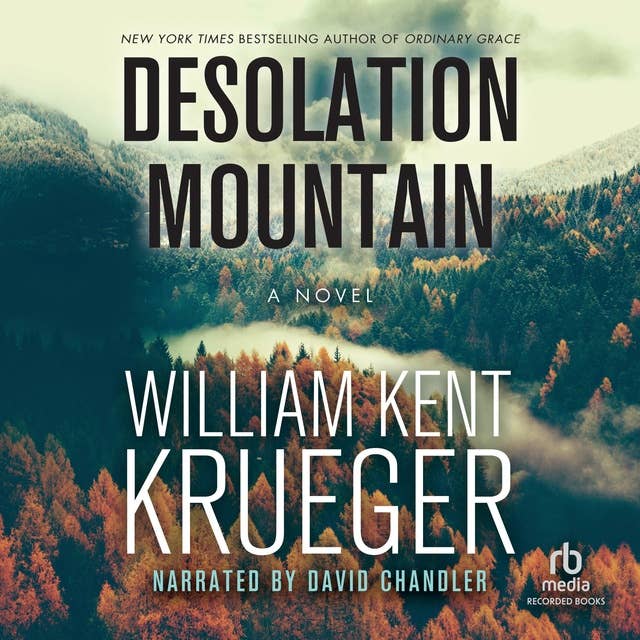 Desolation Mountain: A Novel