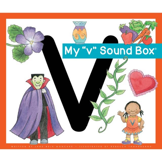 My "v" Sound Box®