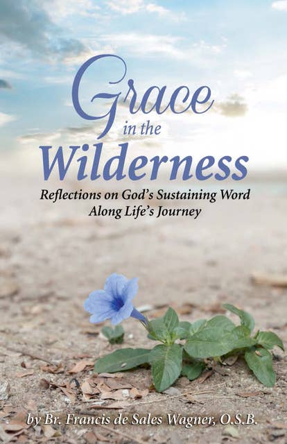 Grace in the Wilderness: Reflections on God's Sustaining Word Along Life's Journey