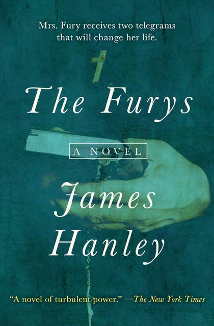 The Furys: A Novel
