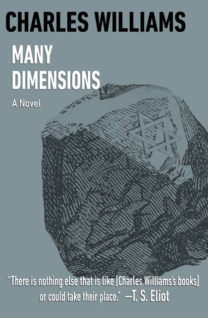 Many Dimensions: A Novel