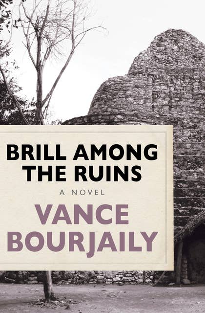 Brill Among the Ruins: A Novel