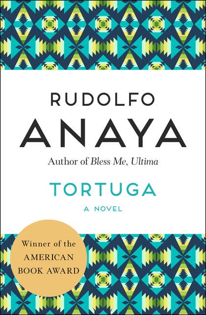 Tortuga: A Novel