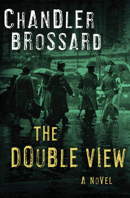 The Double View: A Novel
