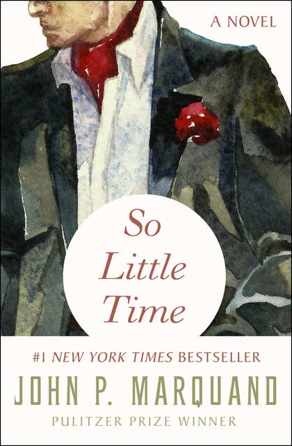 So Little Time: A Novel