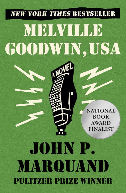 Melville Goodwin, USA: A Novel
