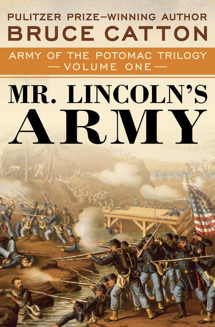 Cover for Mr. Lincoln's Army