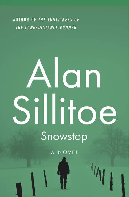 Snowstop: A Novel