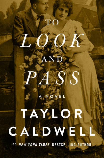 To Look and Pass: A Novel